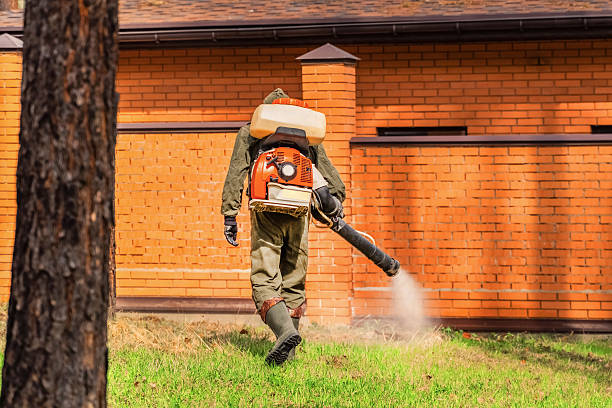 Bed Bug Clearance Verification and Documentation in New Brighton